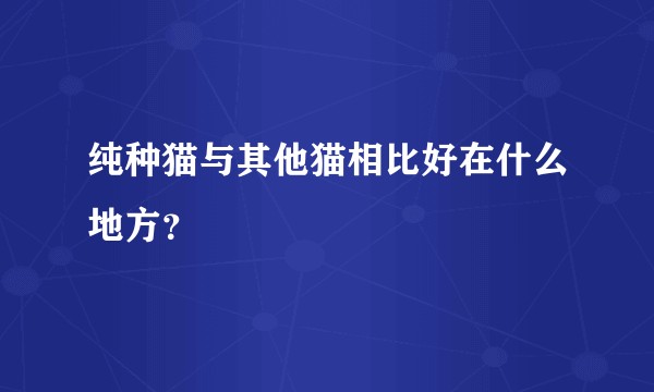 纯种猫与其他猫相比好在什么地方？