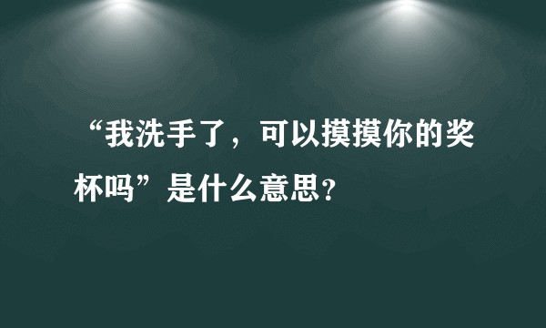 “我洗手了，可以摸摸你的奖杯吗”是什么意思？