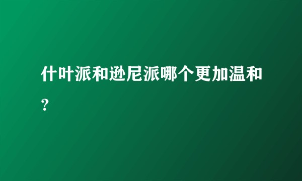 什叶派和逊尼派哪个更加温和？
