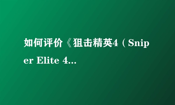 如何评价《狙击精英4（Sniper Elite 4）》这款游戏？
