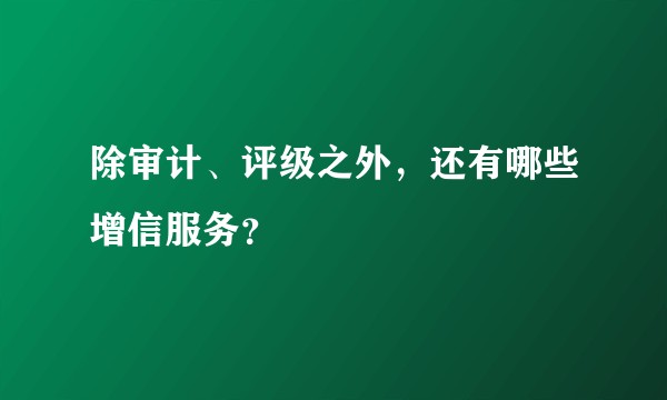 除审计、评级之外，还有哪些增信服务？