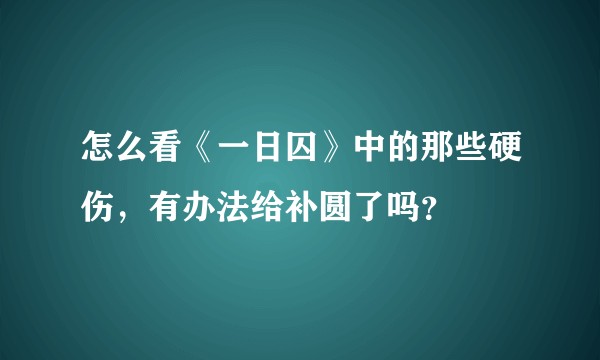 怎么看《一日囚》中的那些硬伤，有办法给补圆了吗？