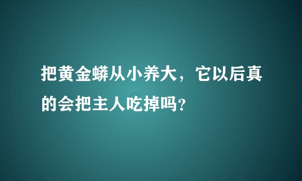 把黄金蟒从小养大,它以后真的会把主人吃掉吗?