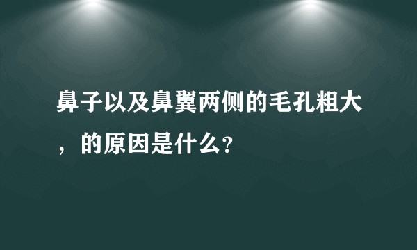 鼻子以及鼻翼两侧的毛孔粗大，的原因是什么？