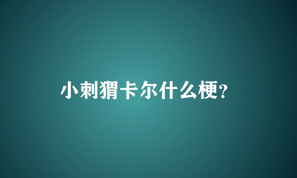 小刺猬卡尔什么梗？