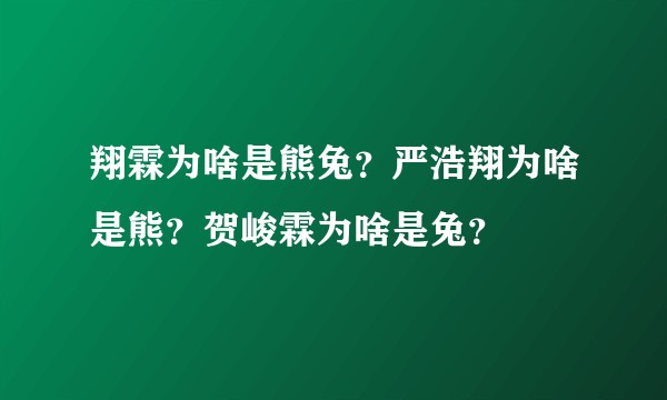 翔霖为啥是熊兔？严浩翔为啥是熊？贺峻霖为啥是兔？