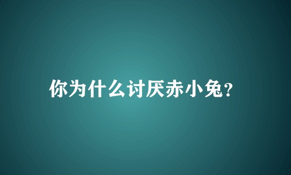 你为什么讨厌赤小兔？