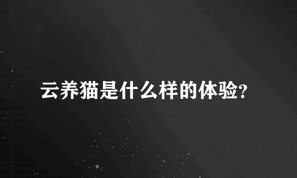 云养猫是什么样的体验？