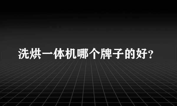 洗烘一体机哪个牌子的好？