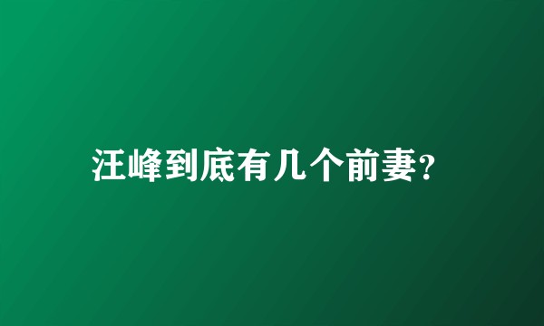 汪峰到底有几个前妻?