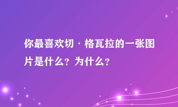 你最喜欢切·格瓦拉的一张图片是什么？为什么？