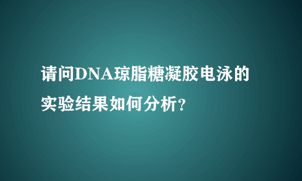 请问DNA琼脂糖凝胶电泳的实验结果如何分析？