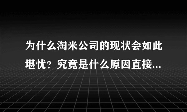 为什么淘米公司的现状会如此堪忧？究竟是什么原因直接或者间接导致了淘米的现状？