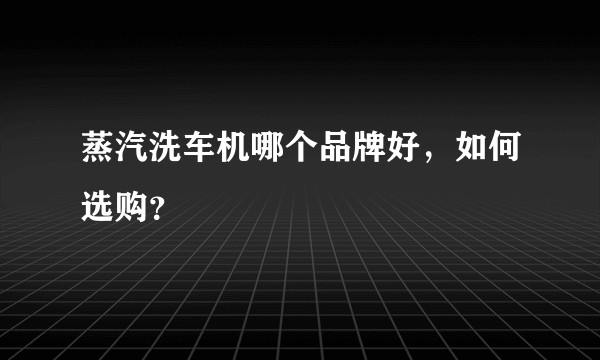 蒸汽洗车机哪个品牌好，如何选购？
