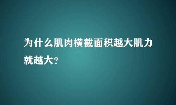 为什么肌肉横截面积越大肌力就越大？