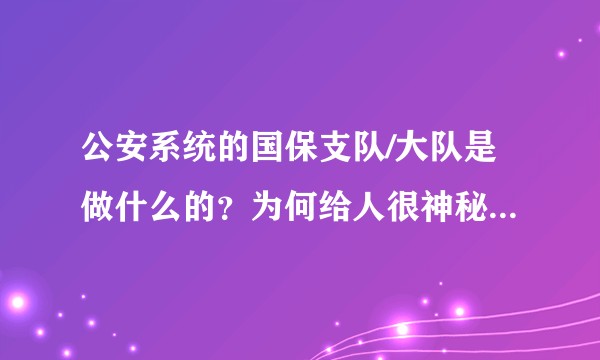 公安系统的国保支队/大队是做什么的？为何给人很神秘的感觉？