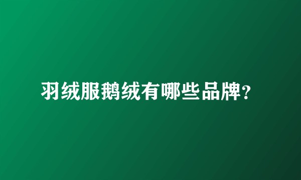 羽绒服鹅绒有哪些品牌?