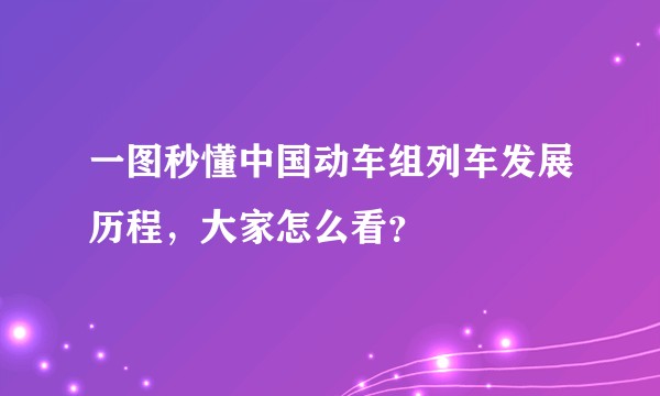 一图秒懂中国动车组列车发展历程，大家怎么看？