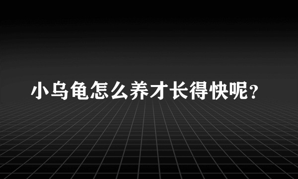 小乌龟怎么养才长得快呢？