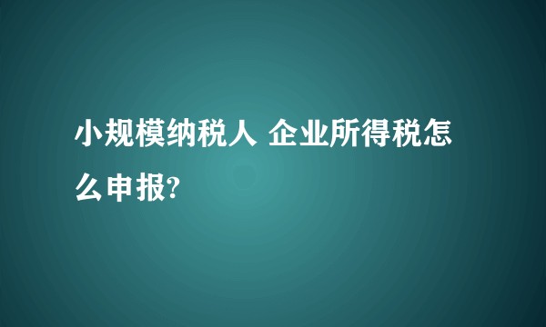 小规模纳税人 企业所得税怎么申报?