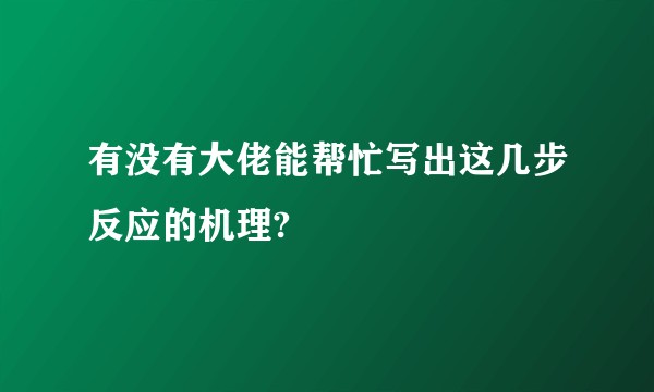 有没有大佬能帮忙写出这几步反应的机理?