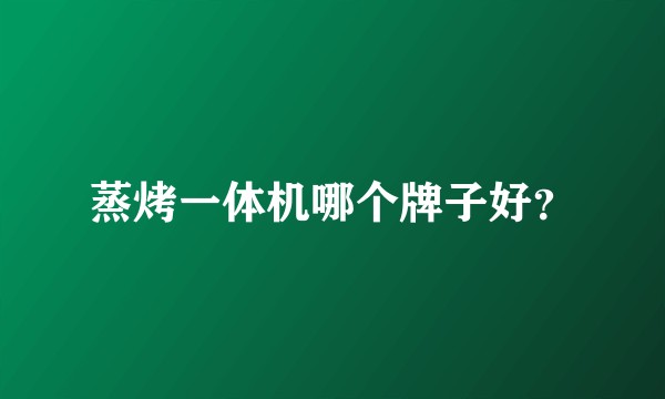 蒸烤一体机哪个牌子好?