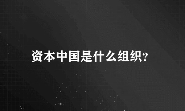 资本中国是什么组织？