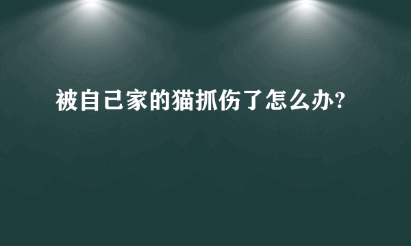 被自己家的猫抓伤了怎么办?