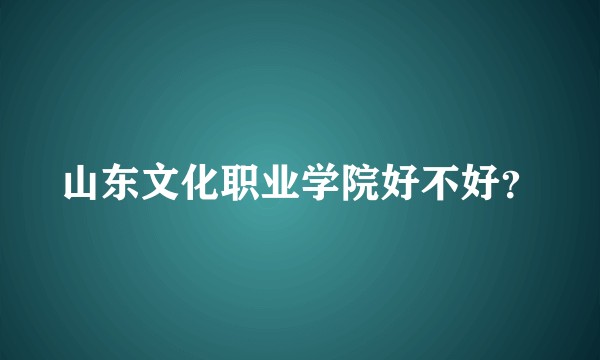 山东文化职业学院好不好？