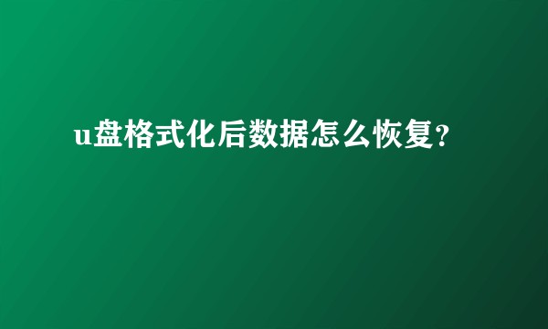 u盘格式化后数据怎么恢复？