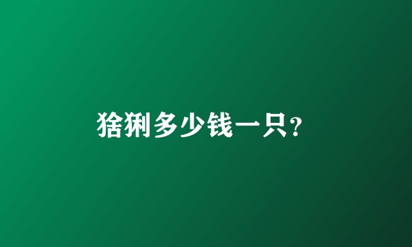 猞猁多少钱一只？
