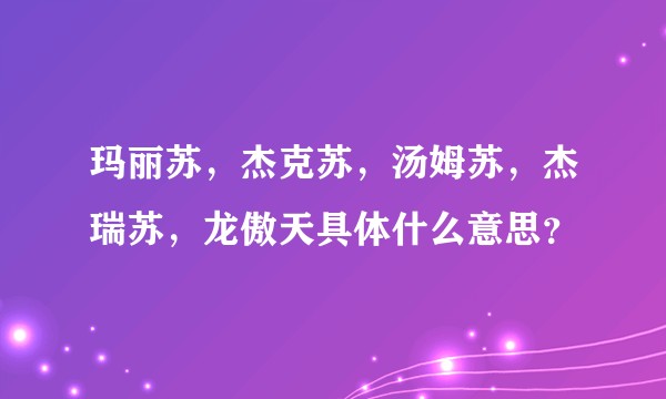 玛丽苏，杰克苏，汤姆苏，杰瑞苏，龙傲天具体什么意思？