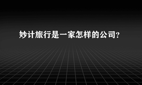 妙计旅行是一家怎样的公司？