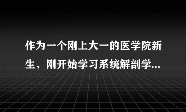 作为一个刚上大一的医学院新生,刚开始学习系统解剖学,有什么习题或者是资料之类的可以给予参考吗?