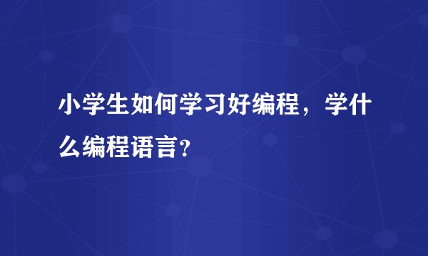 小学生如何学习好编程，学什么编程语言？