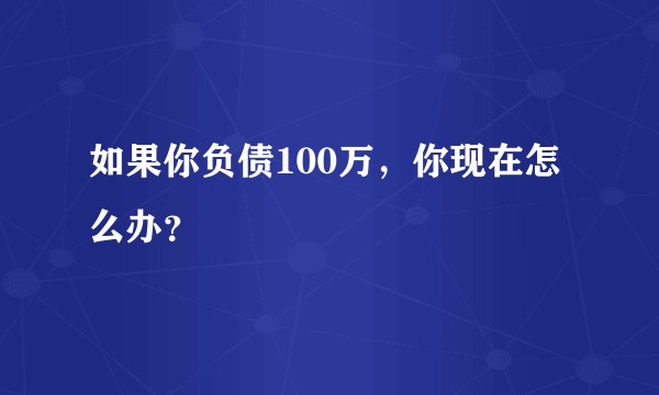 如果你负债100万，你现在怎么办？