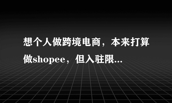 想个人做跨境电商，本来打算做shopee，但入驻限制太多了，还有哪些适合个人做的平台？求指导。感谢大家