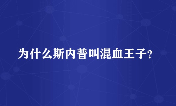 为什么斯内普叫混血王子？