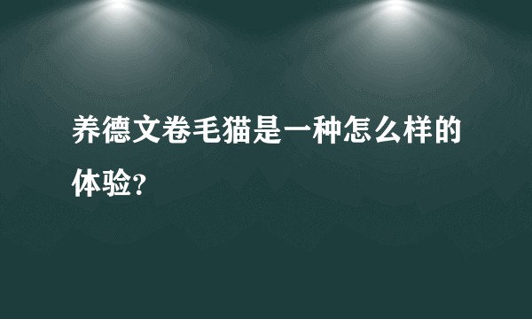 养德文卷毛猫是一种怎么样的体验？