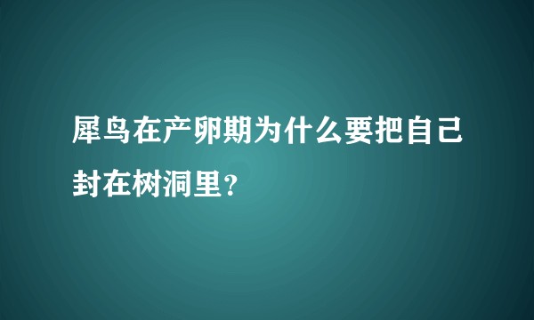 犀鸟在产卵期为什么要把自己封在树洞里？