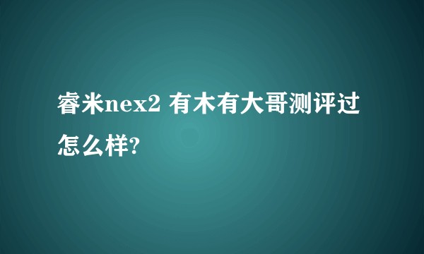睿米nex2 有木有大哥测评过怎么样?