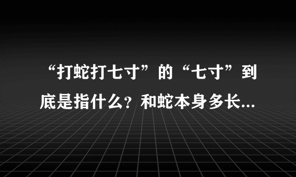 “打蛇打七寸”的“七寸”到底是指什么?和蛇本身多长有没有关系呢?蛇不够七寸的话怎么办?