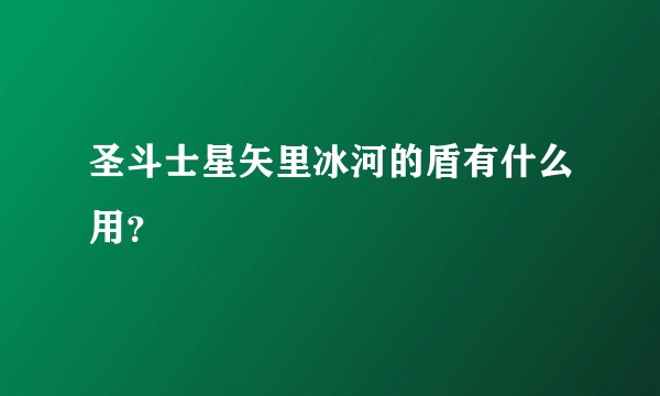 圣斗士星矢里冰河的盾有什么用？