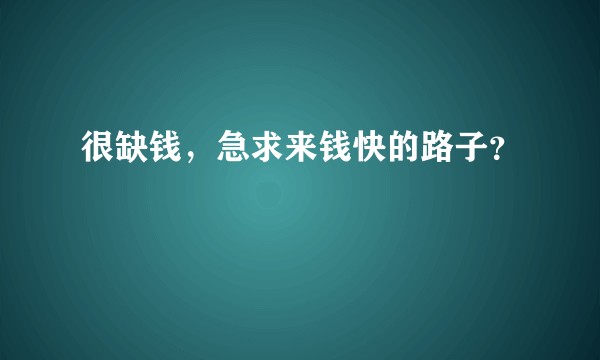 很缺钱，急求来钱快的路子？