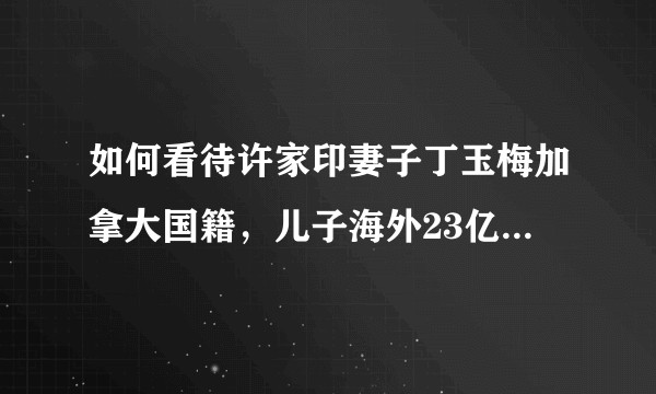 如何看待许家印妻子丁玉梅加拿大国籍，儿子海外23亿信托不可撤销、不可追赃？