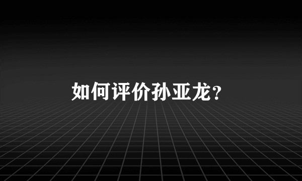 如何评价孙亚龙？