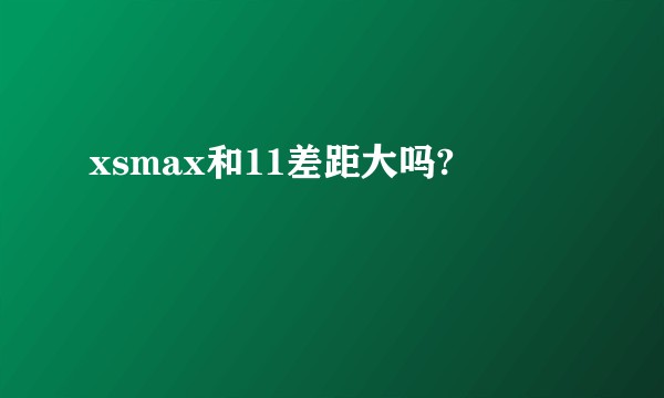 xsmax和11差距大吗?