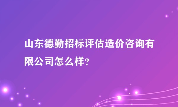 山东德勤招标评估造价咨询有限公司怎么样?