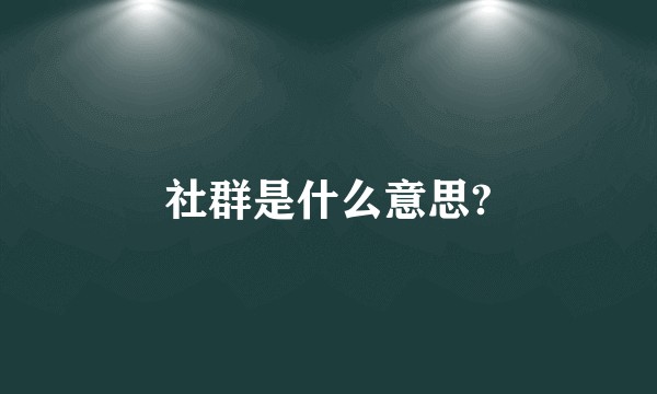 社群是什么意思?