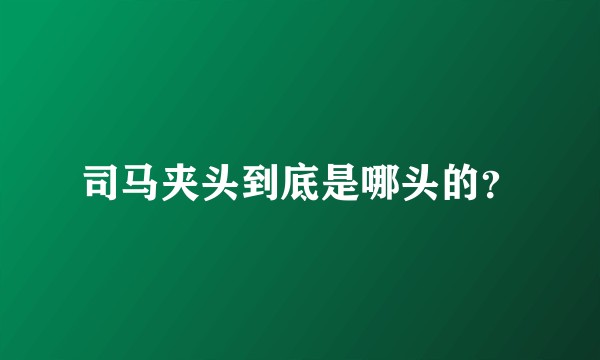 司马夹头到底是哪头的？